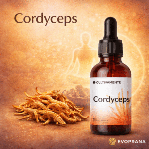 Cordyceps