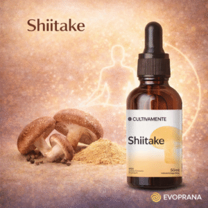 Shiitake